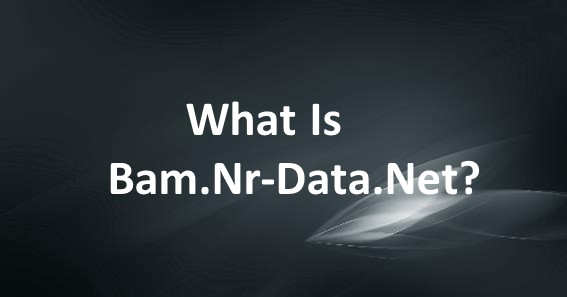 What Is Bam.Nr-Data.Net